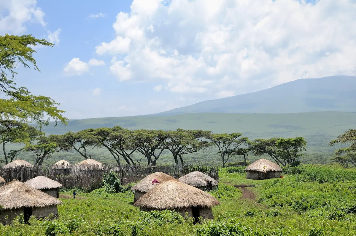 A Maasai boma in the conservation area