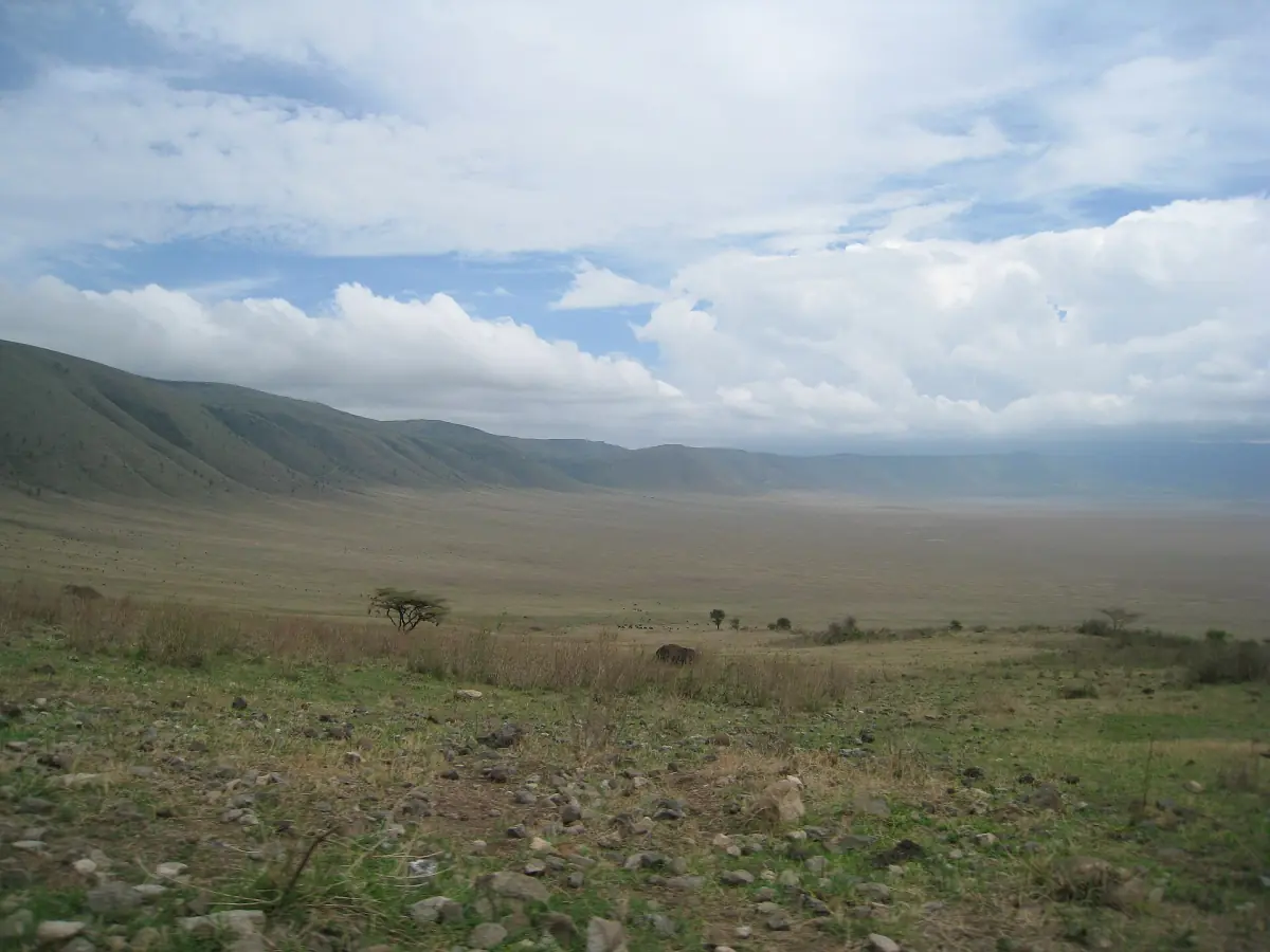 The open grassland of the crater floor