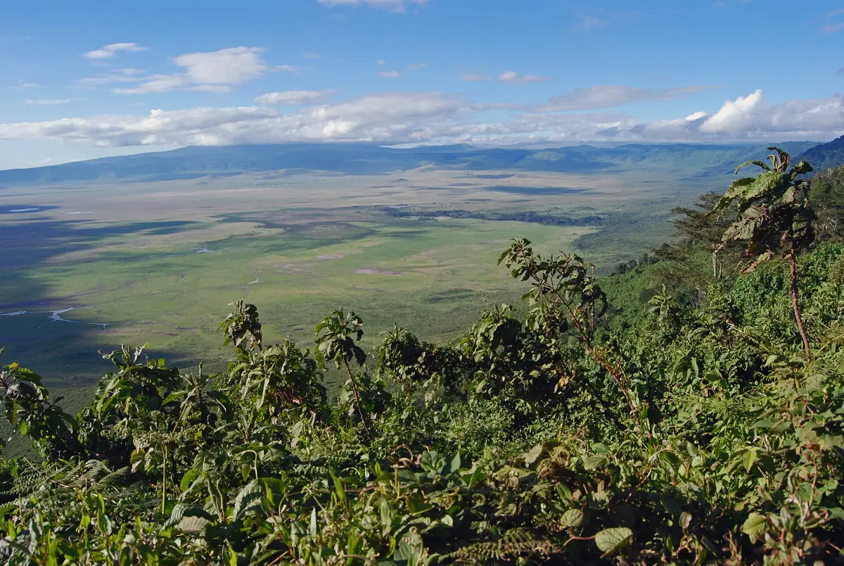The Ngorongoro Crater seen from the rim
