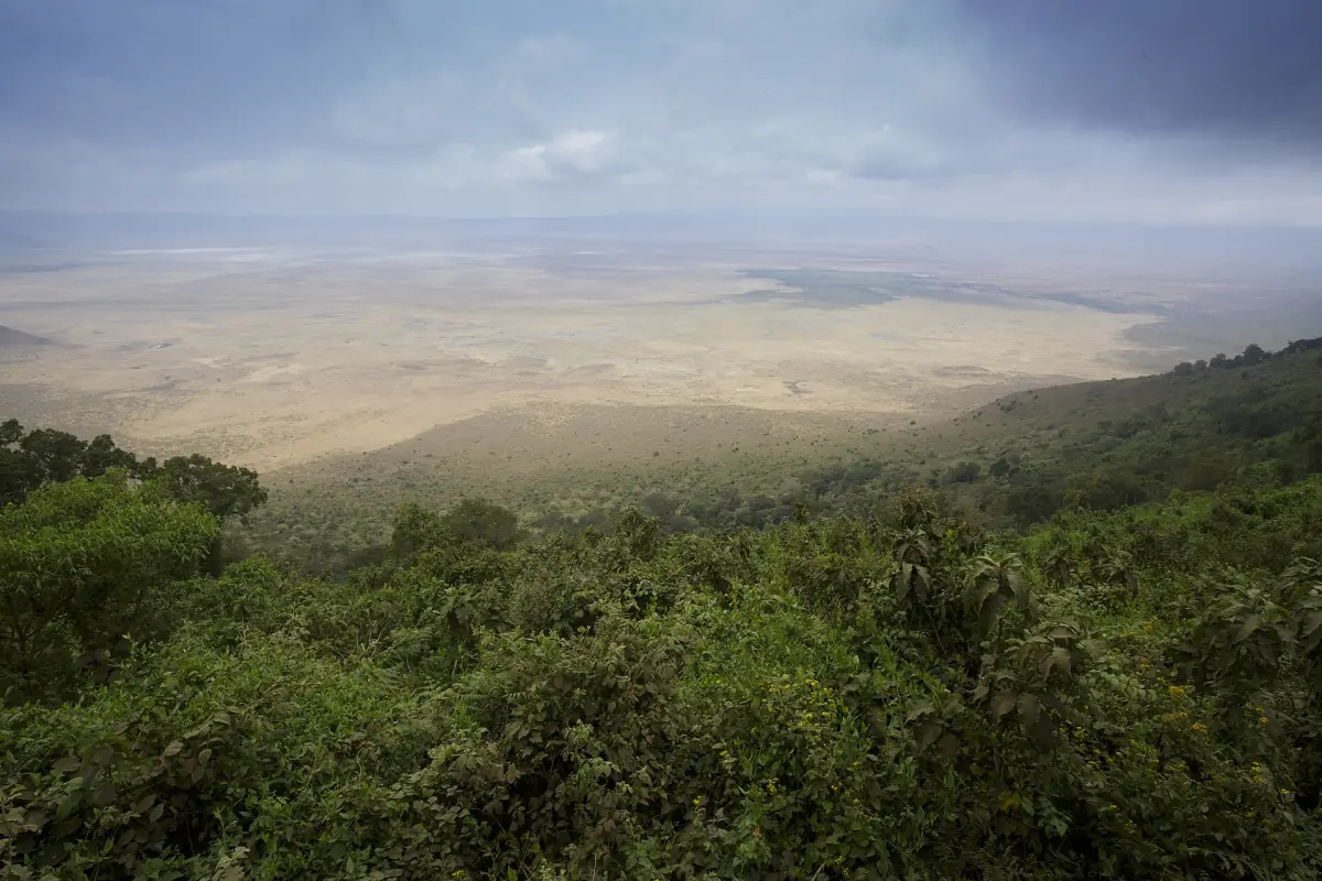 Forest on the crater rim above the floor